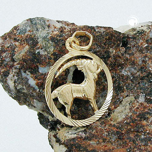 Pendant 15mm Zodiac Sign Capricorn 9Kt GOLD