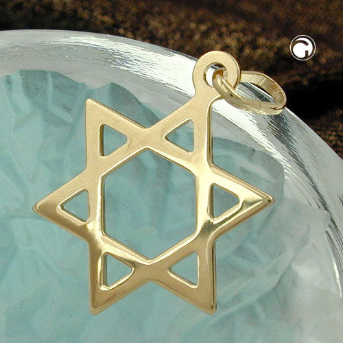 Pendant 21x18mm David Star shiny 9Kt GOLD