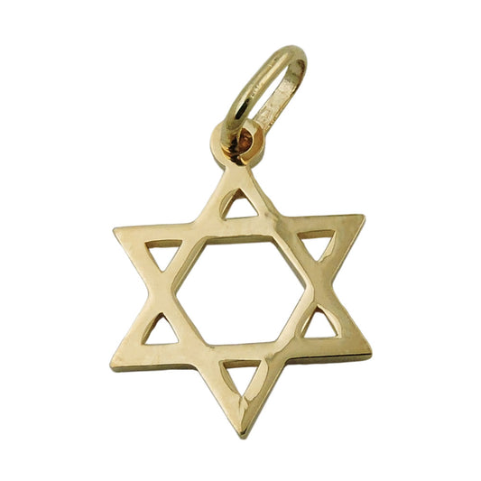 Pendant 21x18mm David Star shiny 9Kt GOLD