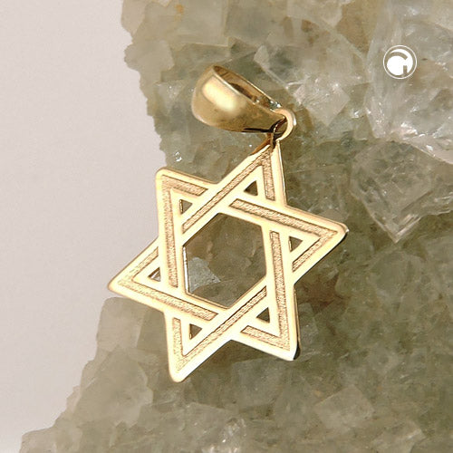 Pendant 11mm David Star shiny 9Kt GOLD