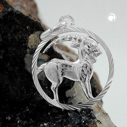 Pendant 15mm Zodiac Sign Capricorn Silver 925